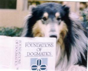 Got Dogmatics?